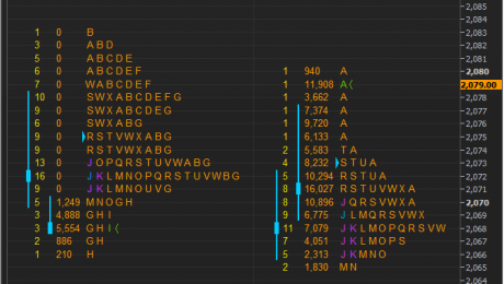 Market Profile SPX