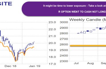 R Option will start increasing Fixed Income Exposure