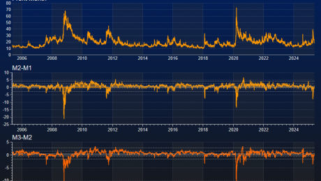 VIX Futures – Elevated Front Month Spreads